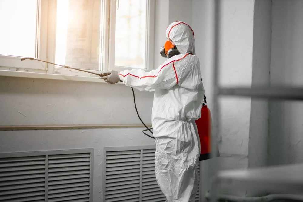 Professional mold remediation services in Ponder, TX